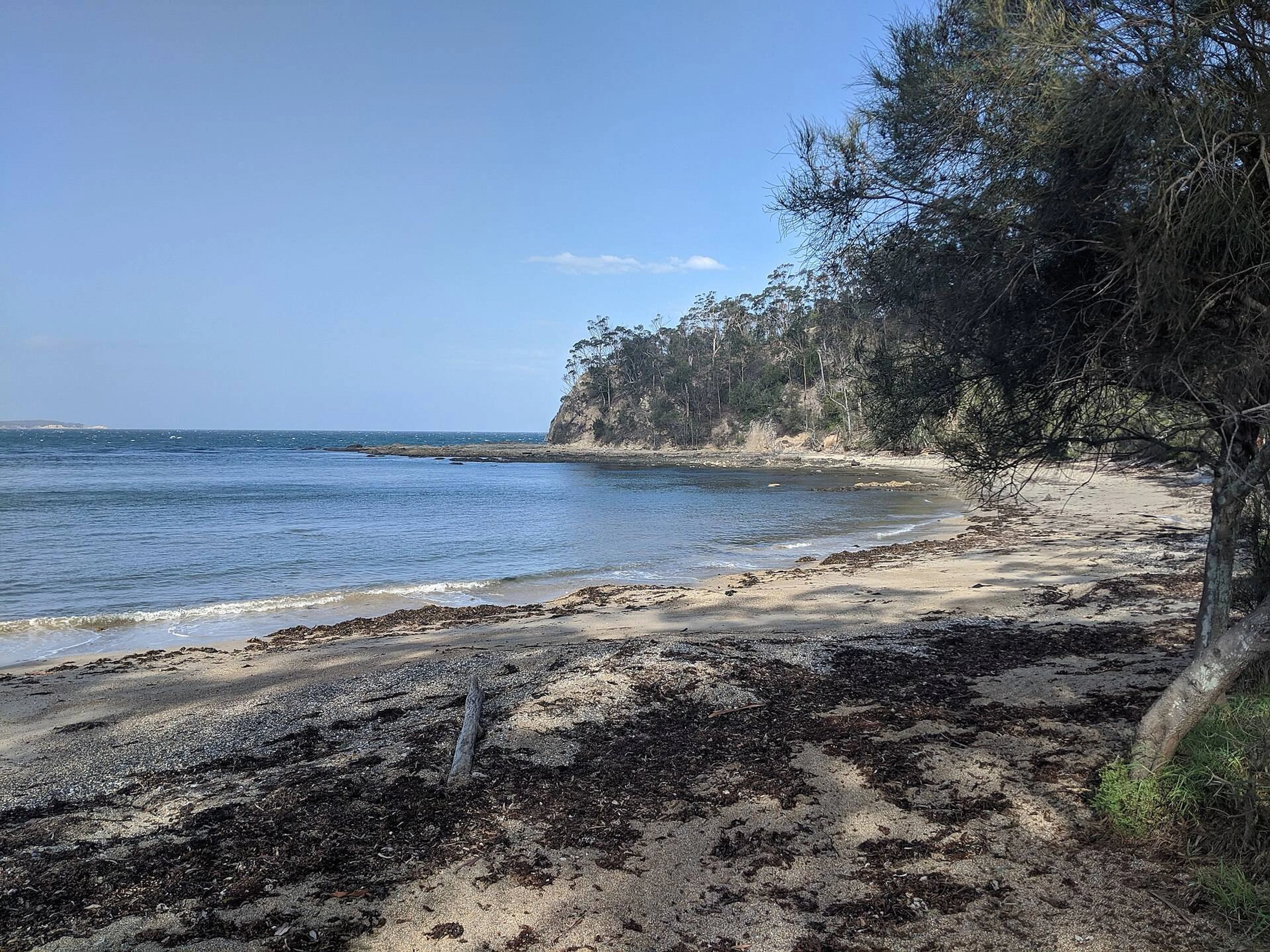 Pleasurelea Tourist Park in Sunshine Bay, NSW — photo 1