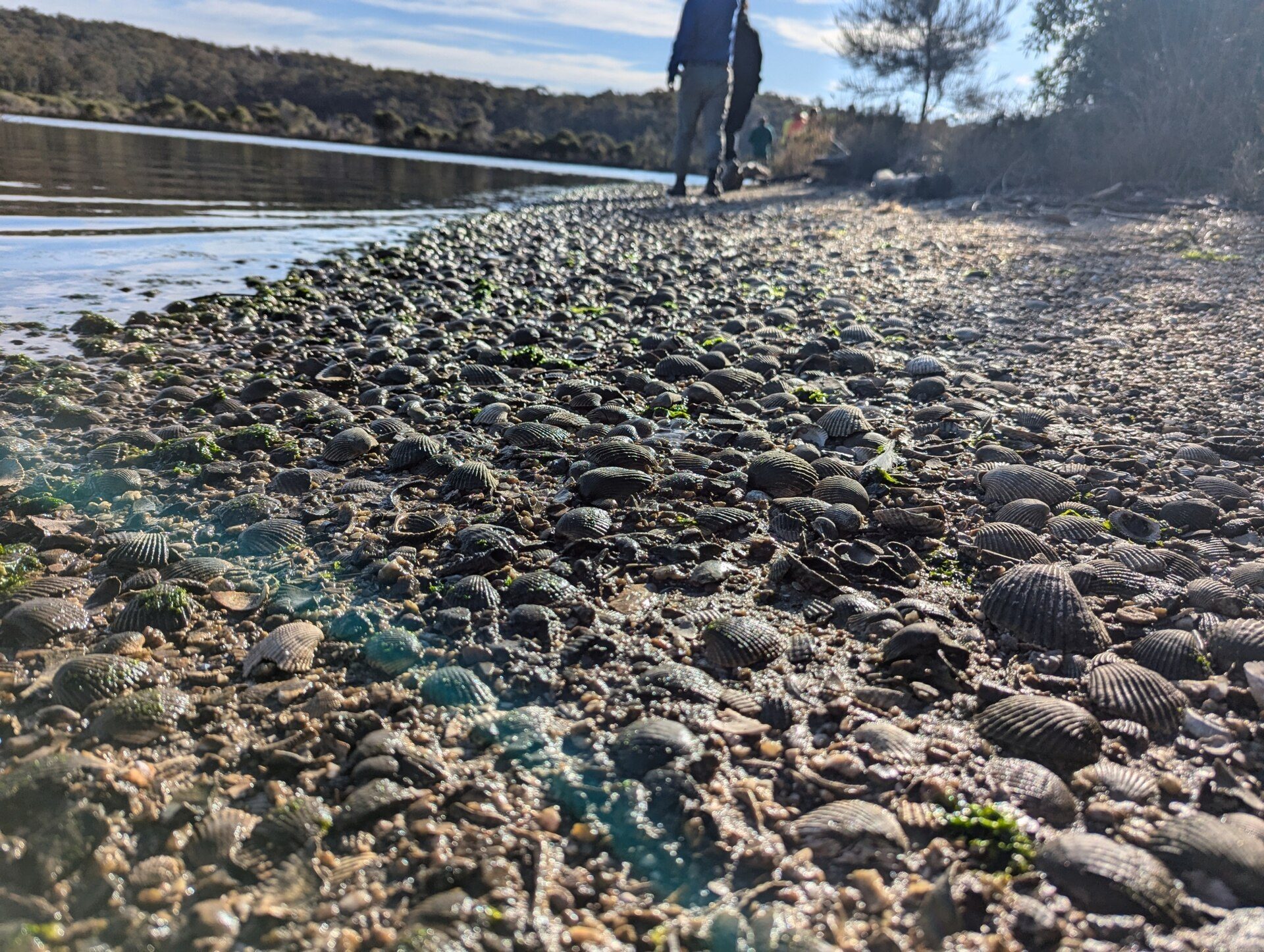 Ocean Lake Caravan Park in Wallaga Lake, NSW — photo 3