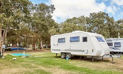 Budgewoi Holiday Park in Budgewoi, NSW — photo 1
