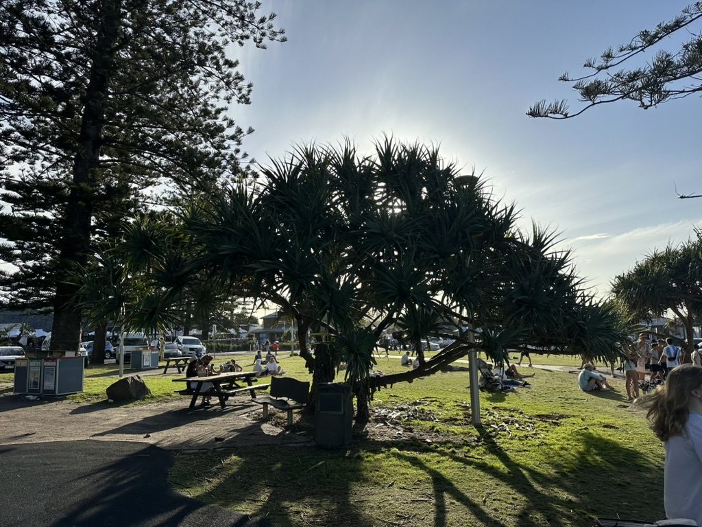 First Sun Holiday Park in Byron Bay, NSW — photo 2