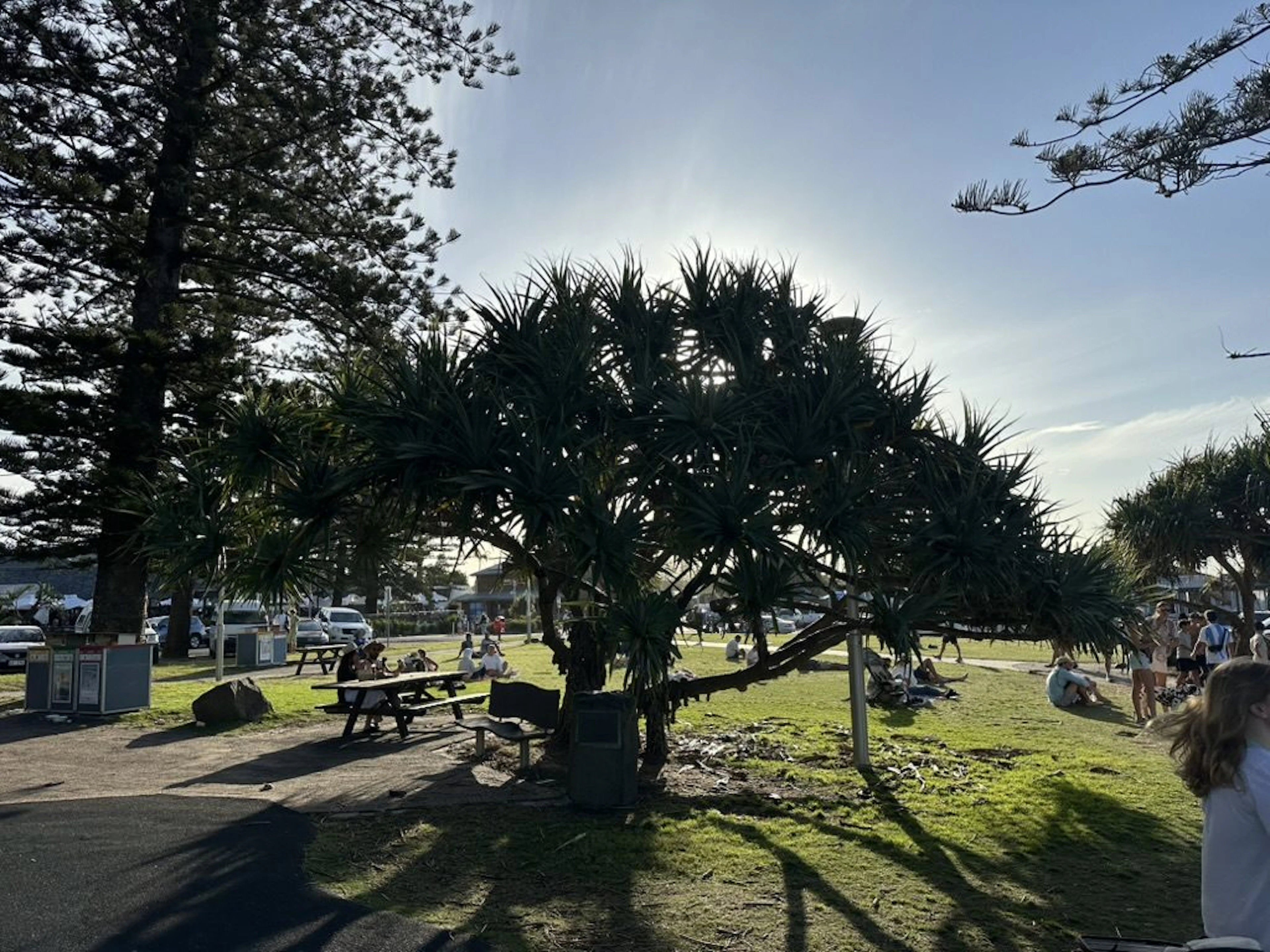 First Sun Holiday Park in Byron Bay, NSW — photo 2