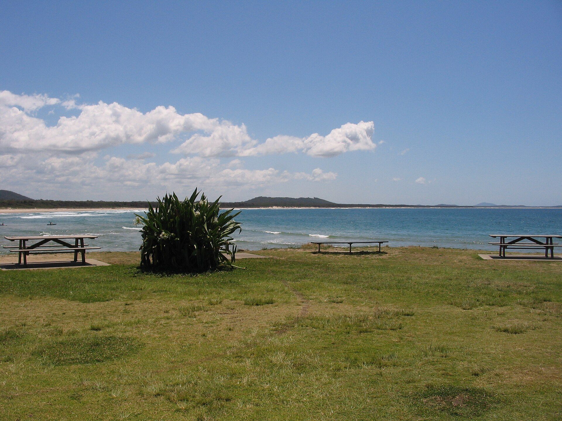 Crescent Head Holiday Park in Crescent Head, NSW — photo 3