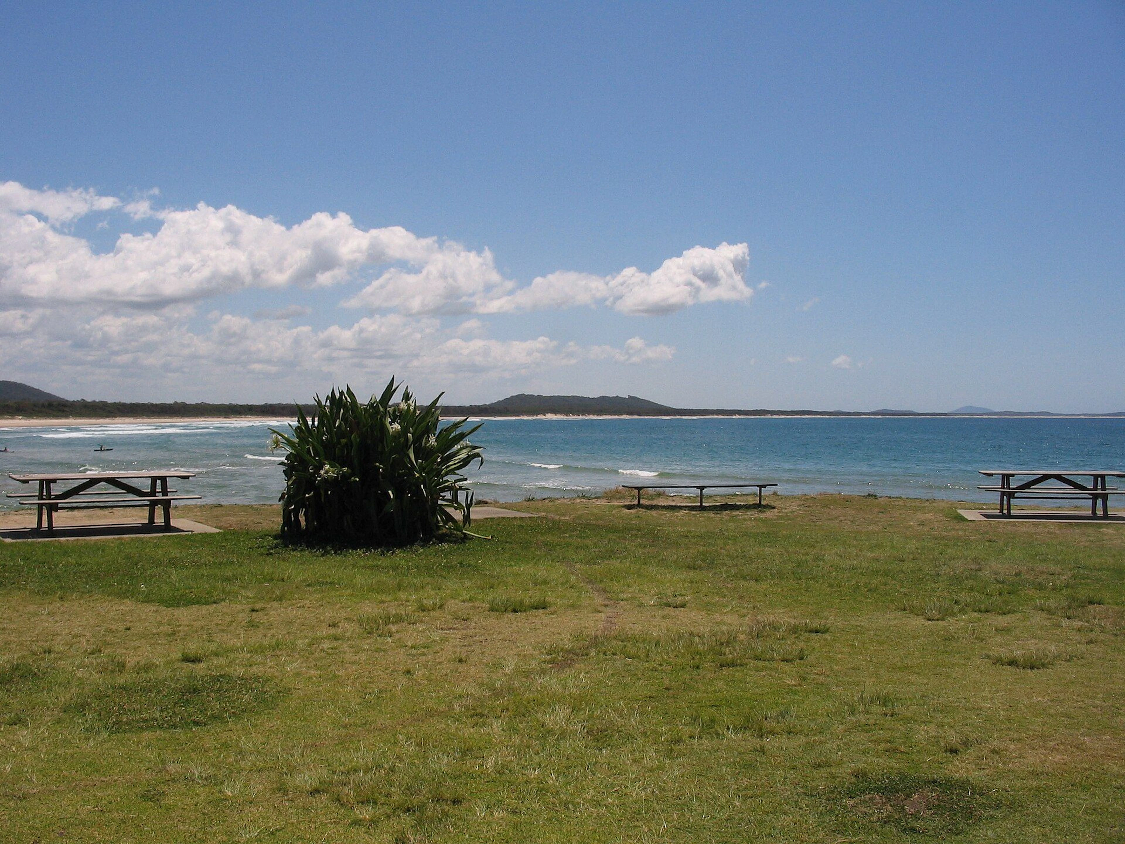 Crescent Head Holiday Park in Crescent Head, NSW — photo 3