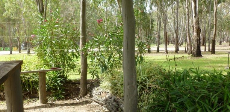 River Bend Caravan Park in Echuca, VIC — photo 2