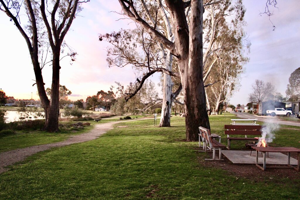 Rutherglen Caravan and Tourist Park — Rutherglen, VIC