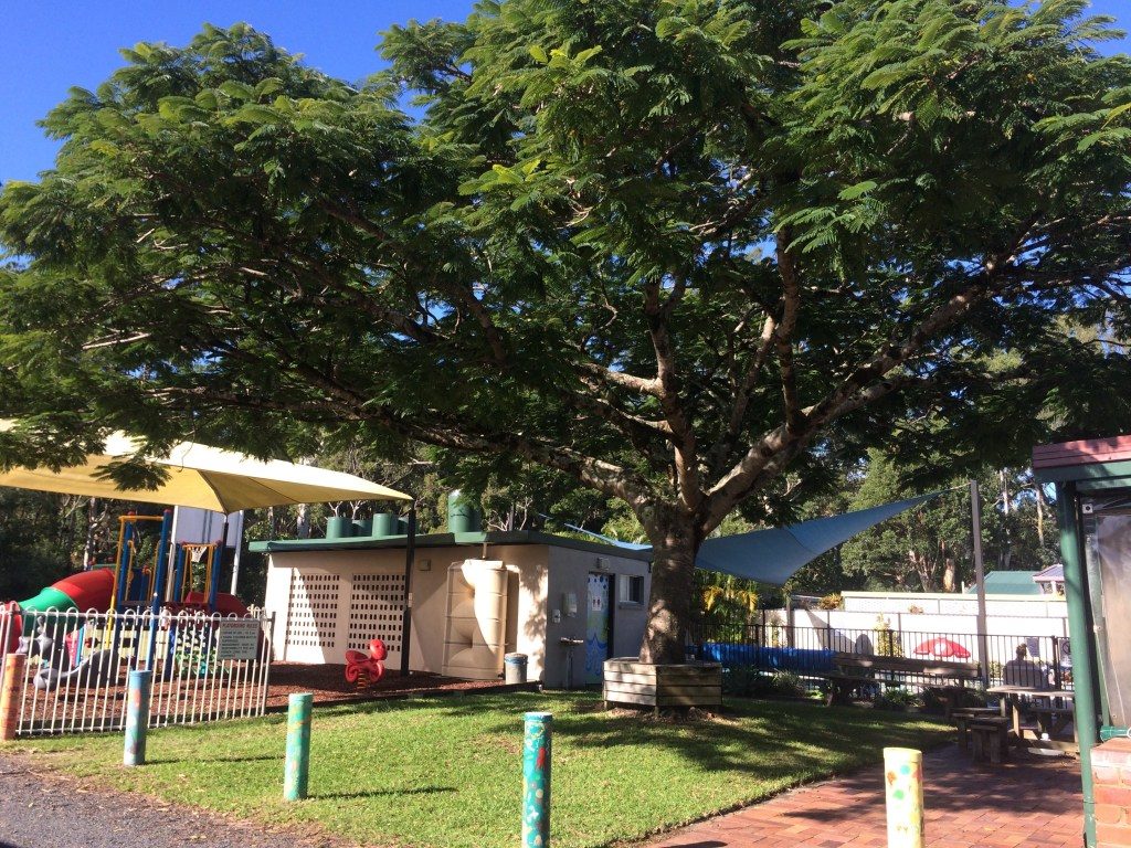 Anchorage Holiday Park in Iluka, NSW — photo 2