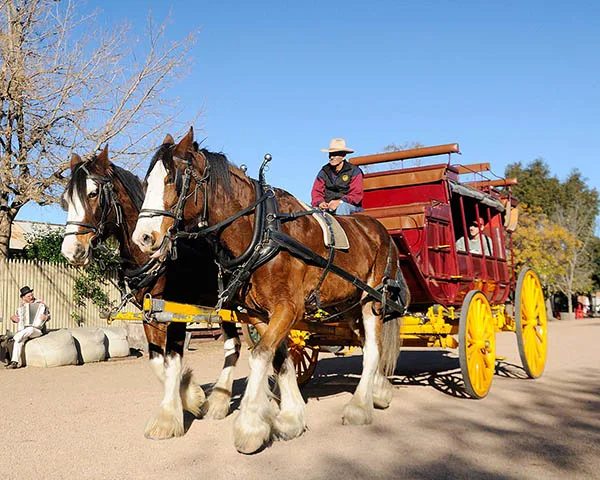 NRMA Echuca Holiday Park in Echuca, VIC — photo 4