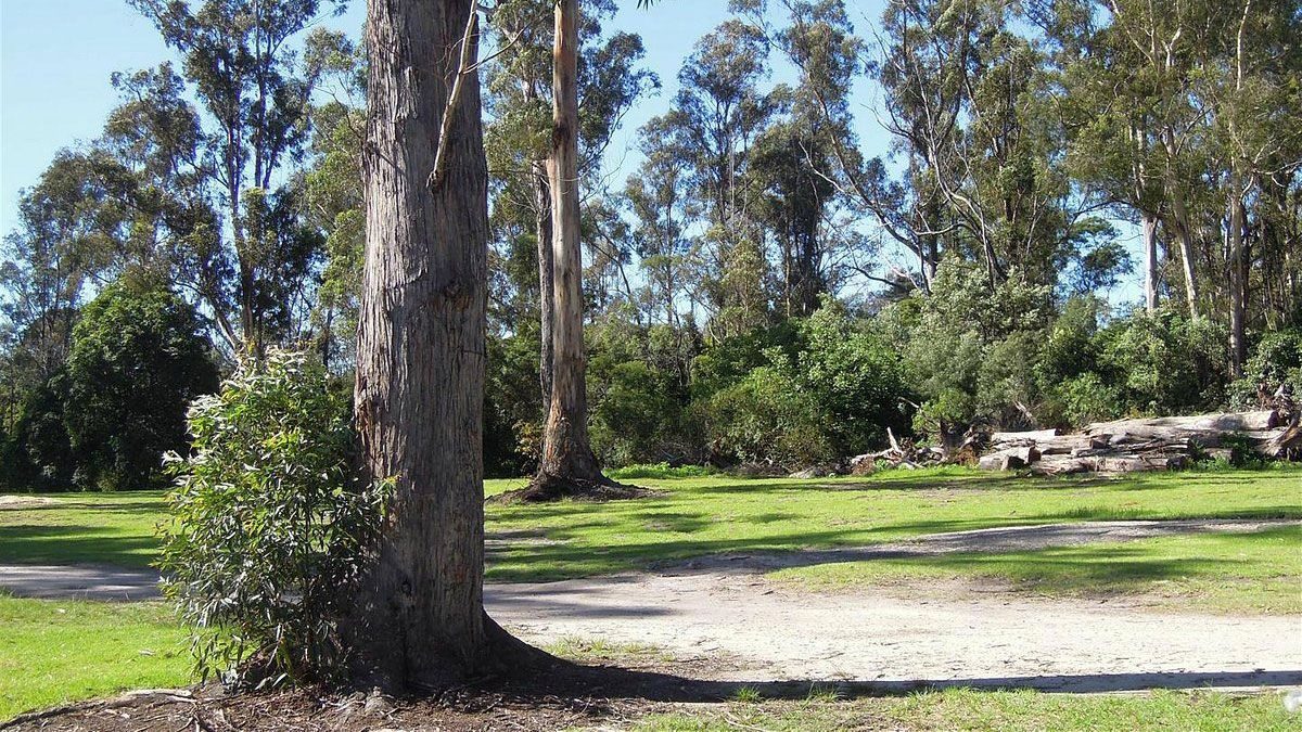 Eden Gateway Holiday Park in Eden, NSW — photo 3