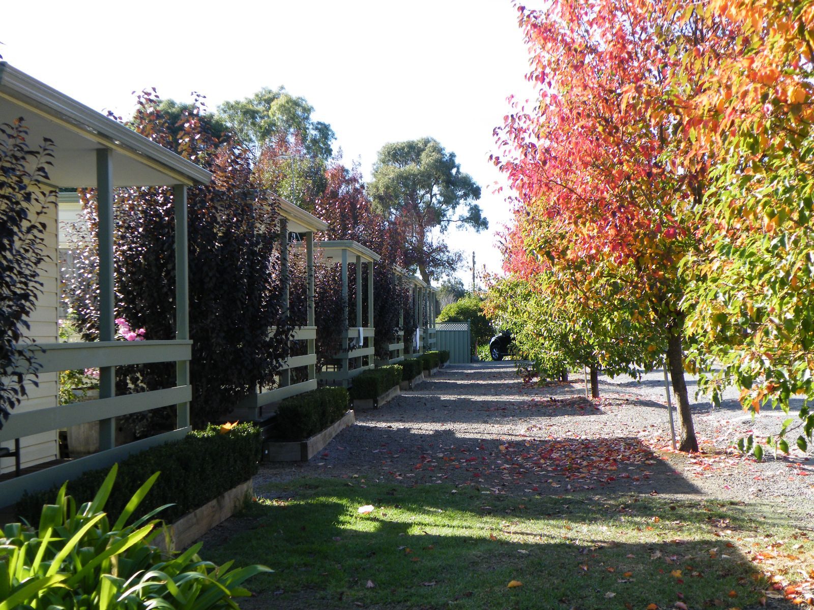 Lake Hamilton Motor Village and Caravan Park in Hamilton, VIC — photo 3
