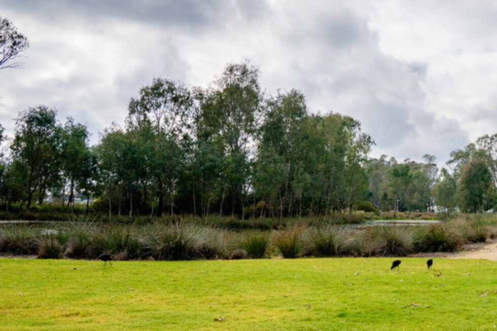 Victoria Lake Holiday Park — Shepparton, VIC