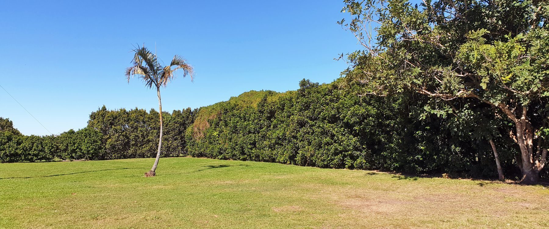 Fishing Haven Caravan Park in Palmers Island, NSW — photo 4