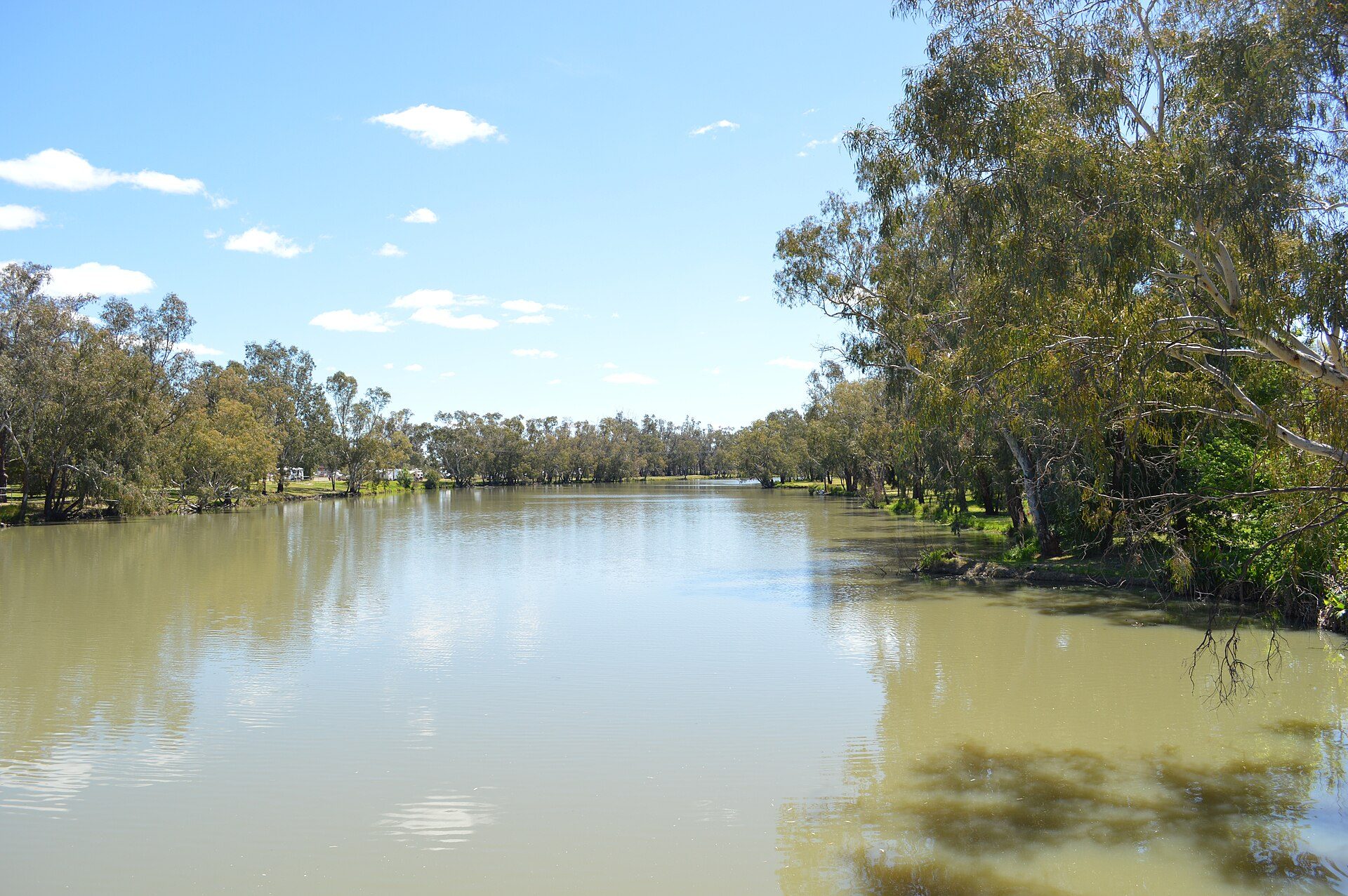 Forbes Holiday Park in Forbes, NSW — photo 1