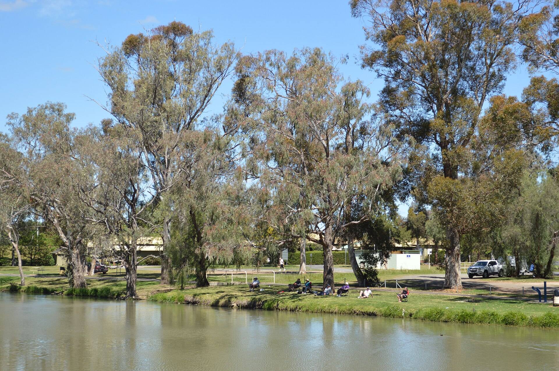 Forbes Holiday Park — Forbes, NSW