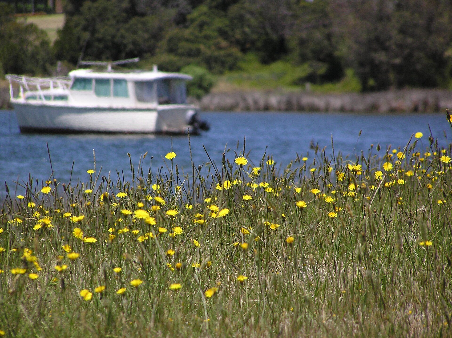 Resthaven Caravan Park in Paynesville, VIC — photo 2