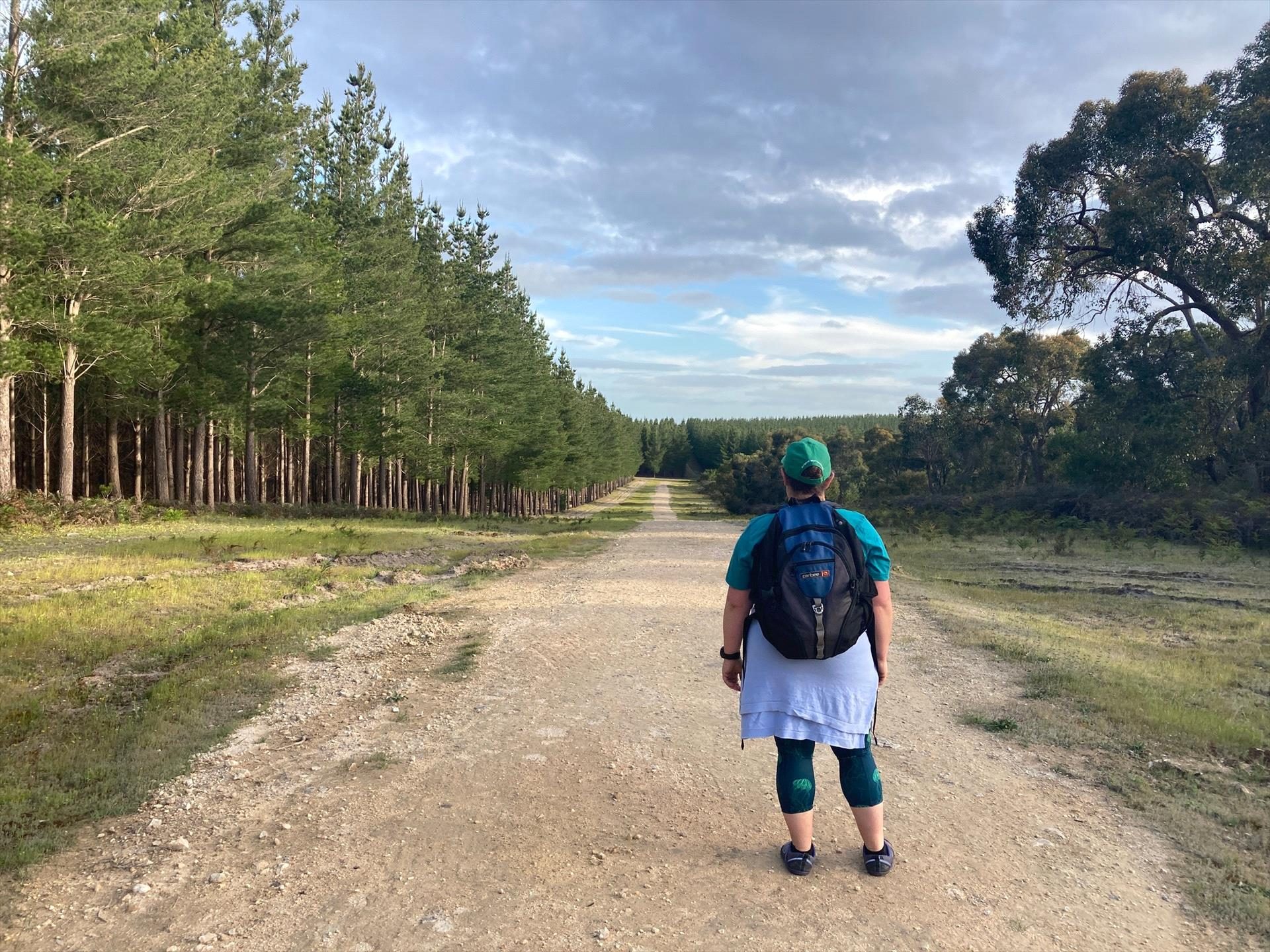 Limestone Coast Tourist Park in Mount Gambier, SA — photo 1