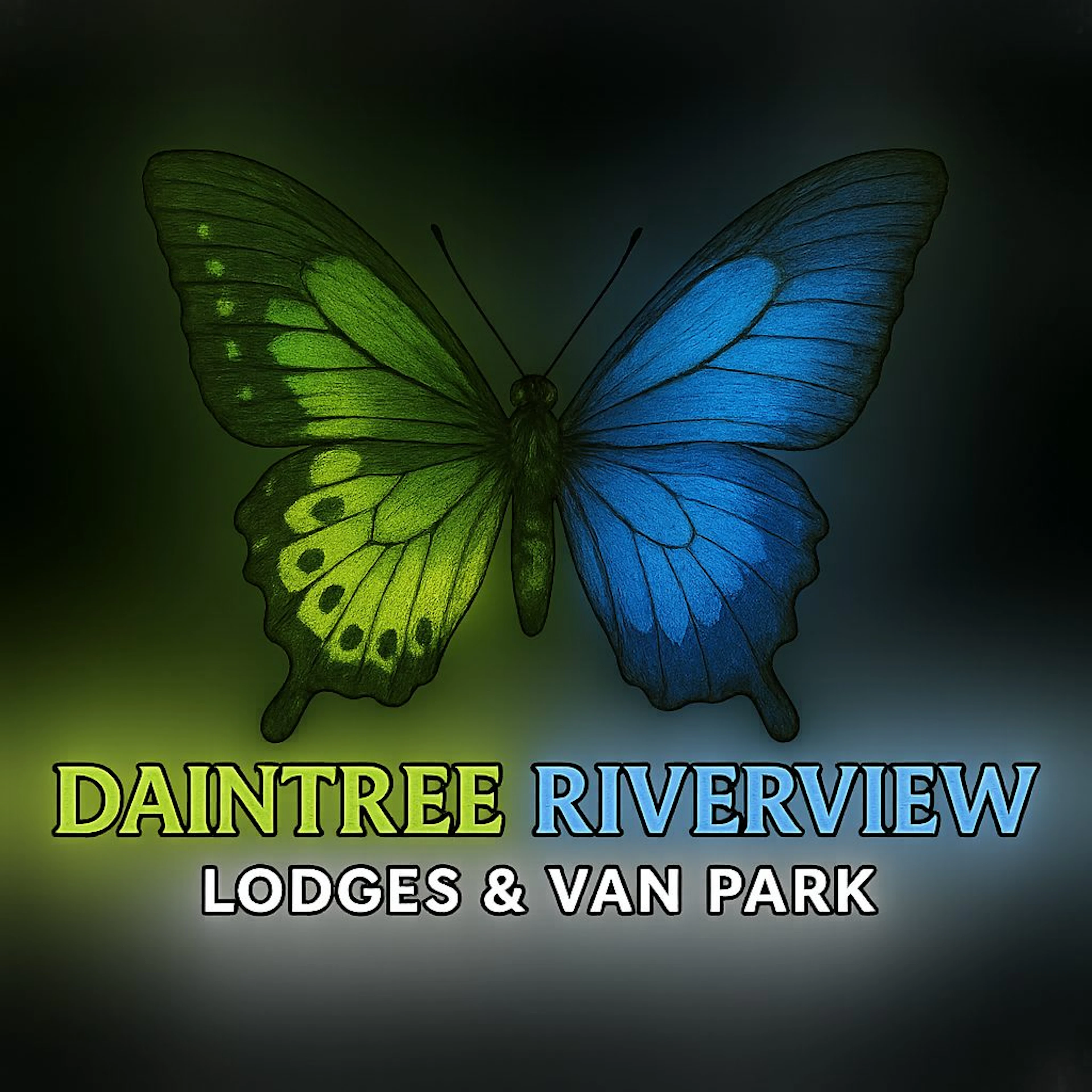 Daintree Riverview Caravan Park in Daintree, QLD — photo 2