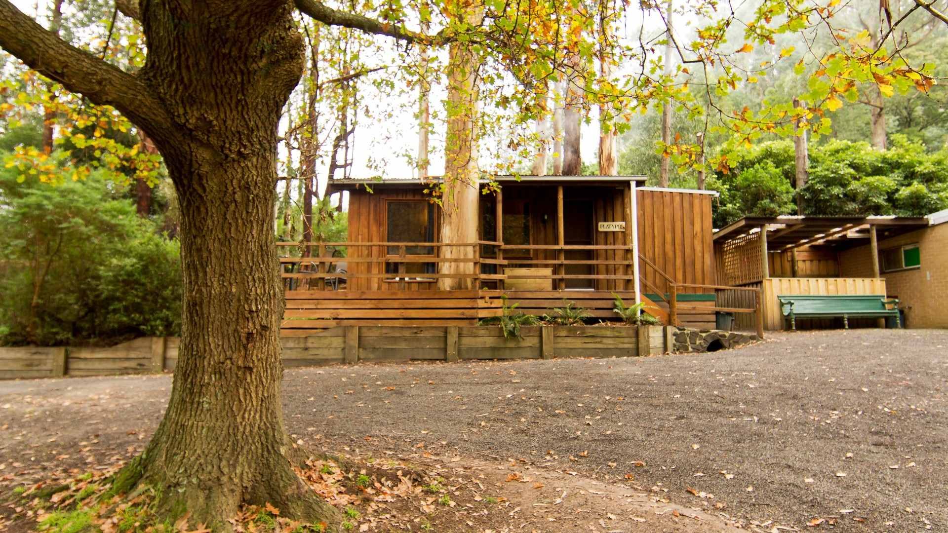 Tarra Valley Caravan Park — Tarra Valley, VIC