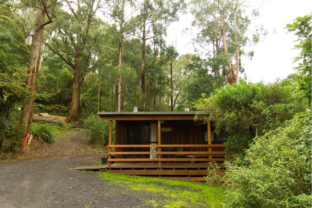 Tarra Valley Caravan Park in Tarra Valley, VIC — photo 4