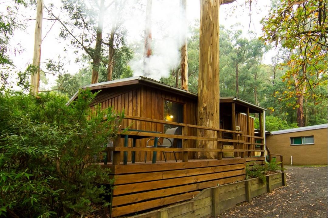 Tarra Valley Caravan Park in Tarra Valley, VIC — photo 1