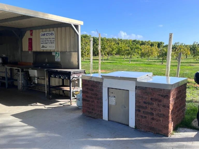 BIG4 Plantation Caravan Park in Carnarvon, WA — photo 4