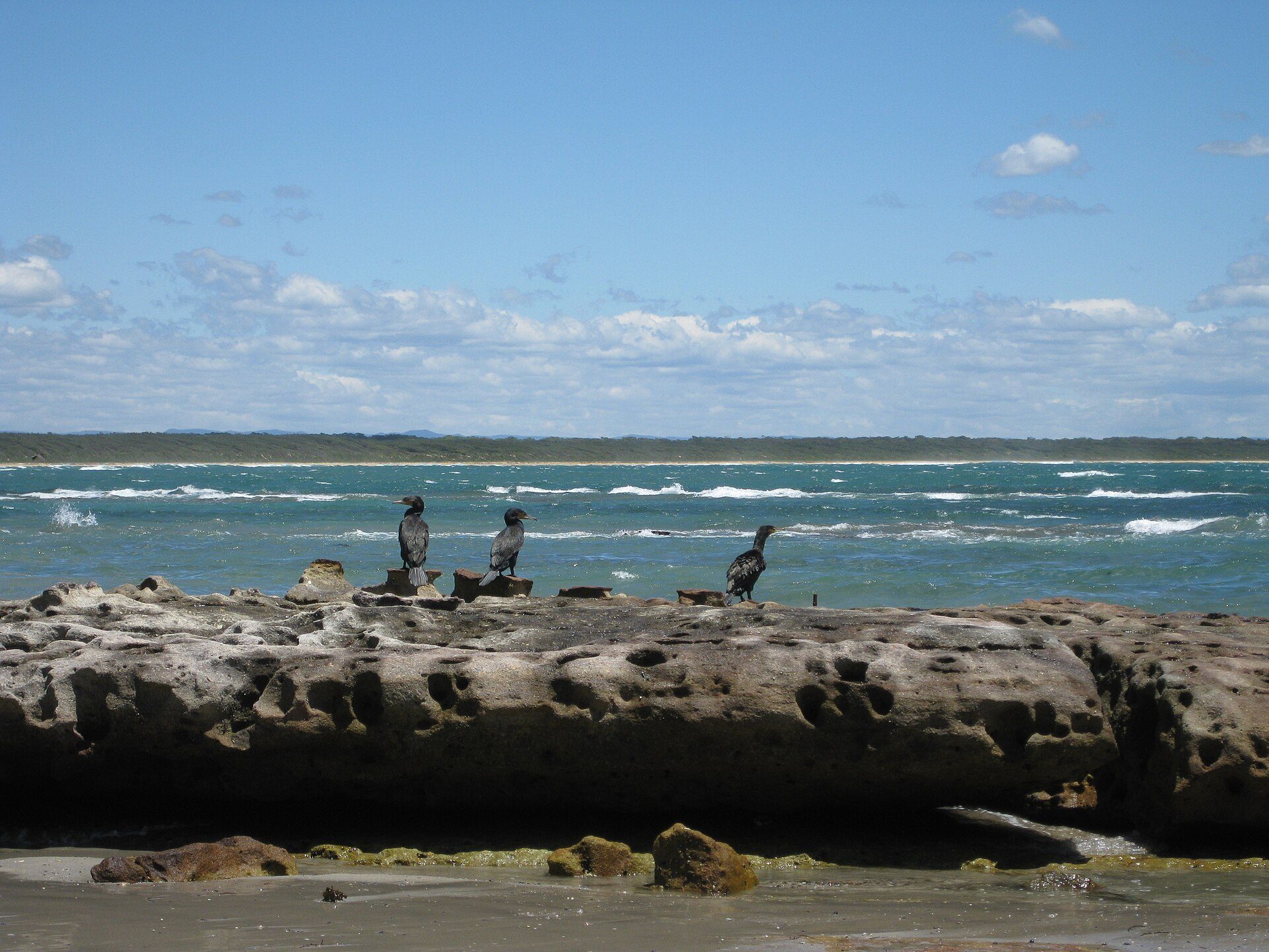 Currarong Beachside Tourist Park in Currarong, NSW — photo 2