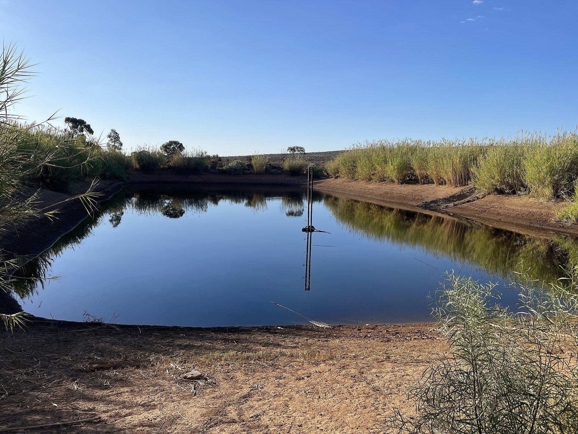 Hawker Overflow Caravan Park in Hawker, SA — photo 1