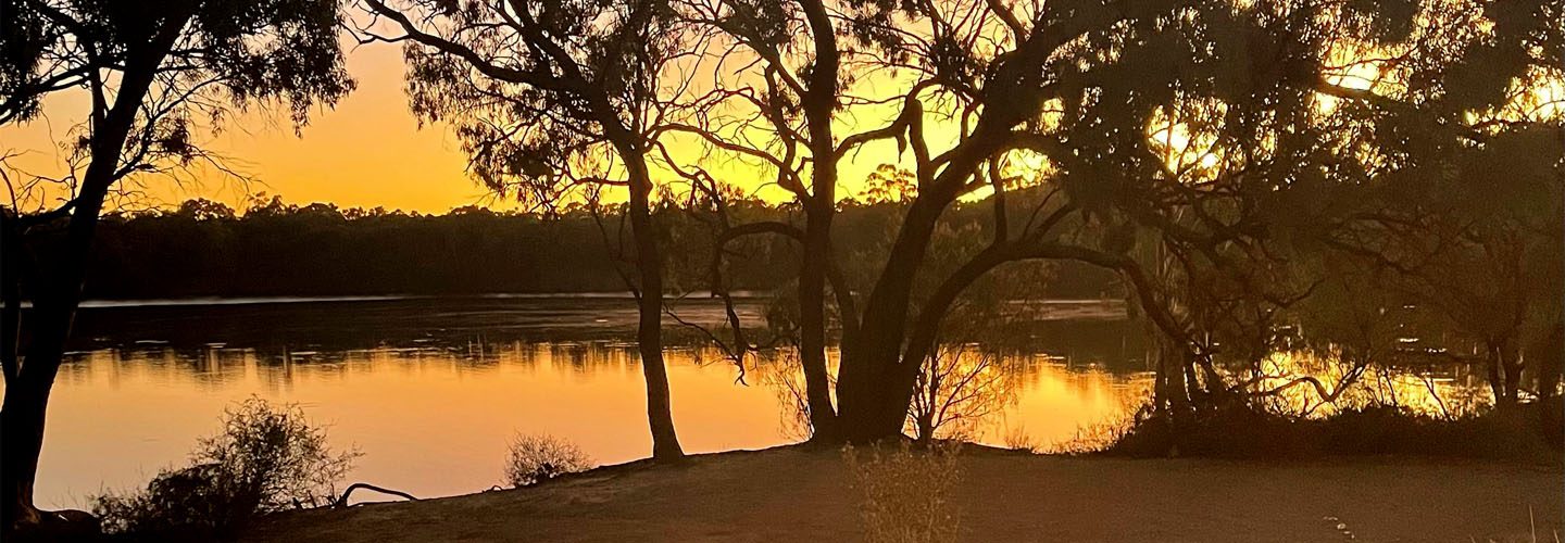 Robinvale Riverside Caravan Park in Robinvale, VIC — photo 3