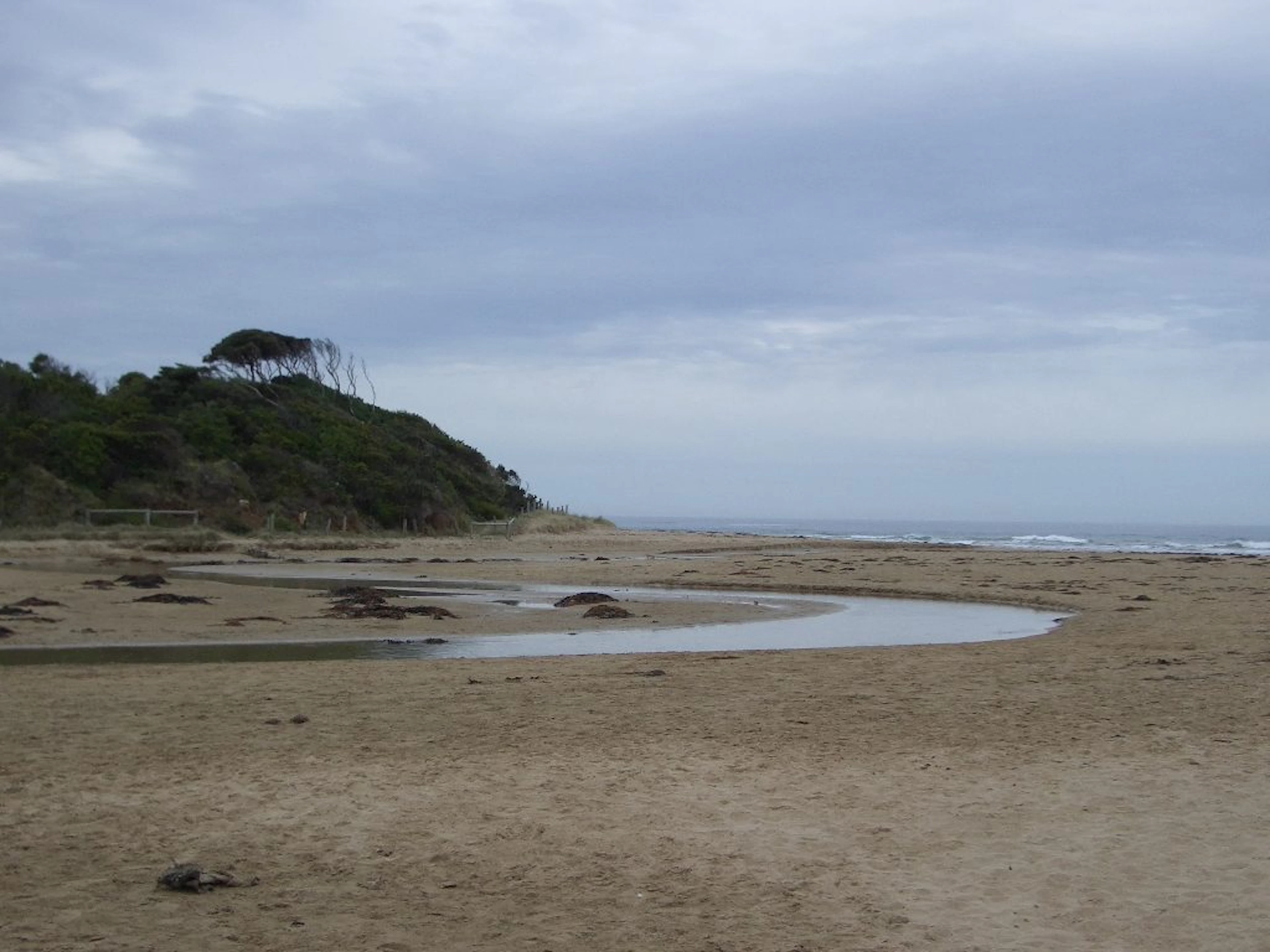 Anglesea Beachfront Family Caravan Park in Anglesea, VIC — photo 1