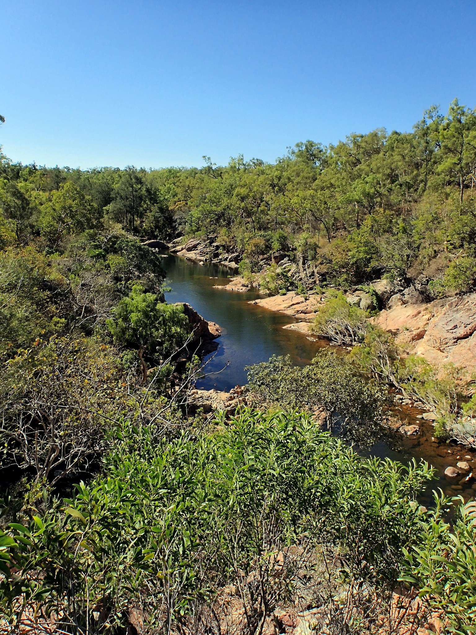 Alligator Creek Campground — Alligator Creek, QLD