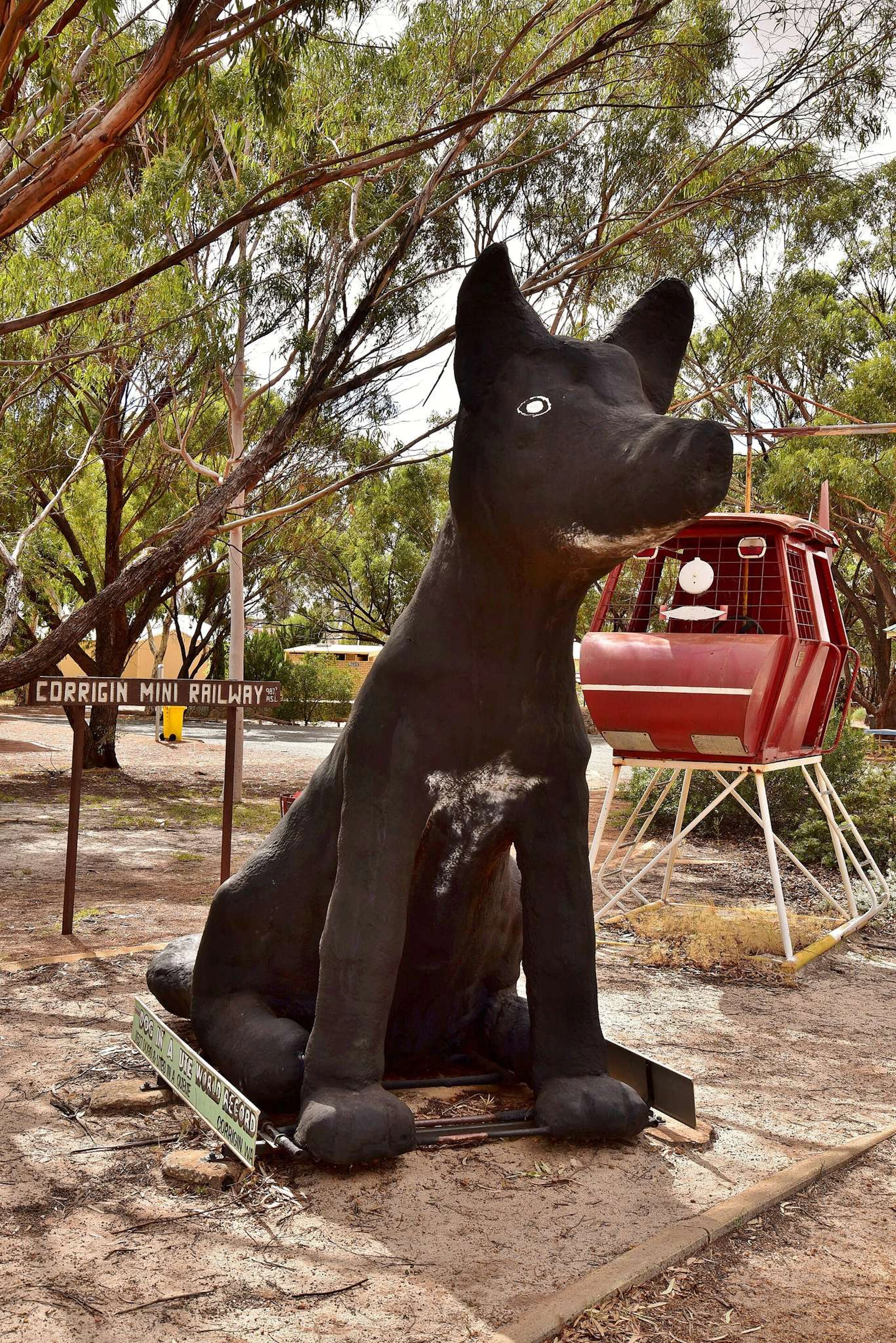 Corrigin Tourist Park in Corrigin, WA — photo 2