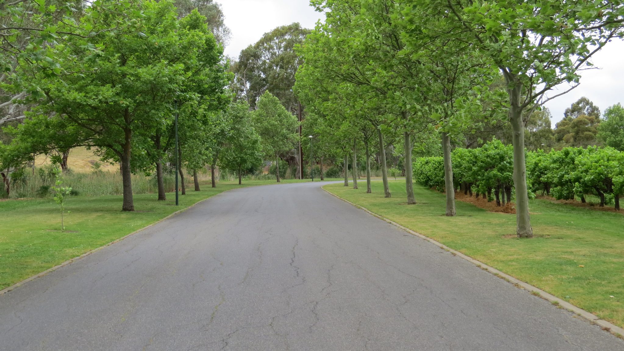 McLaren Vale Lakeside Caravan Park — McLaren Vale, SA