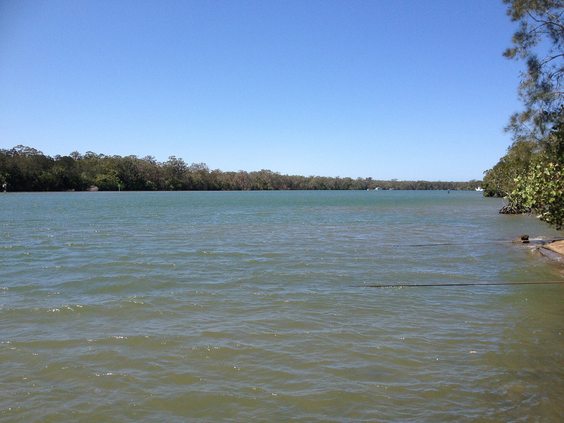 Noosa Caravan Park in Tewantin, QLD — photo 2