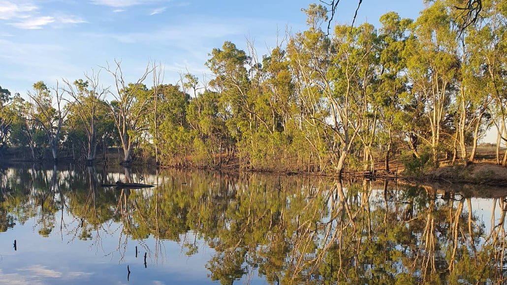 Deniliquin Pioneer Tourist Park in Deniliquin, NSW — photo 3
