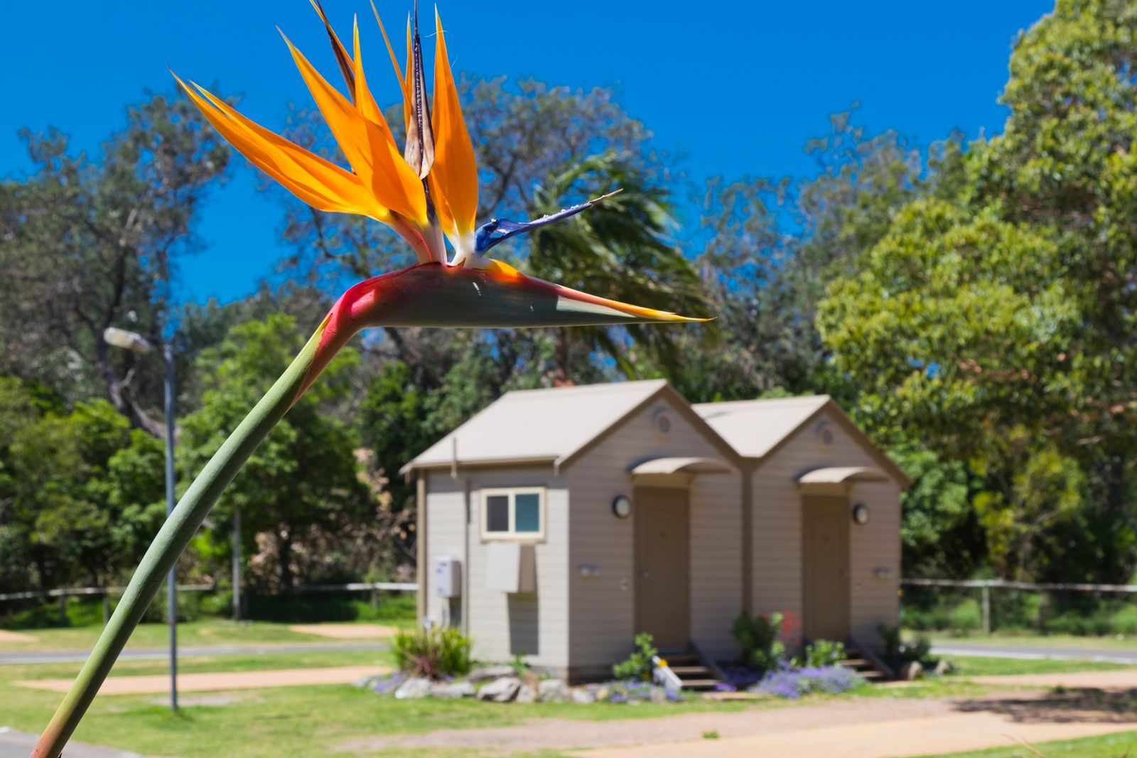 Seven Mile Beach Holiday Park in Gerroa, NSW — photo 1