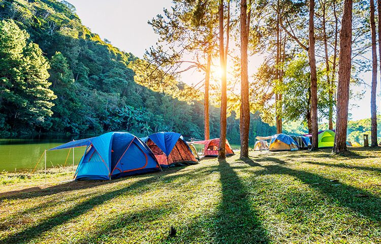 Blue Gem Tourist Park — Sapphire, QLD
