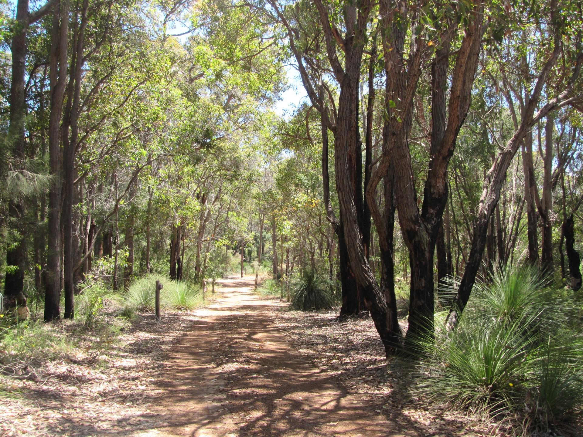 Hidden Valley Tourist Park — Kununurra, WA