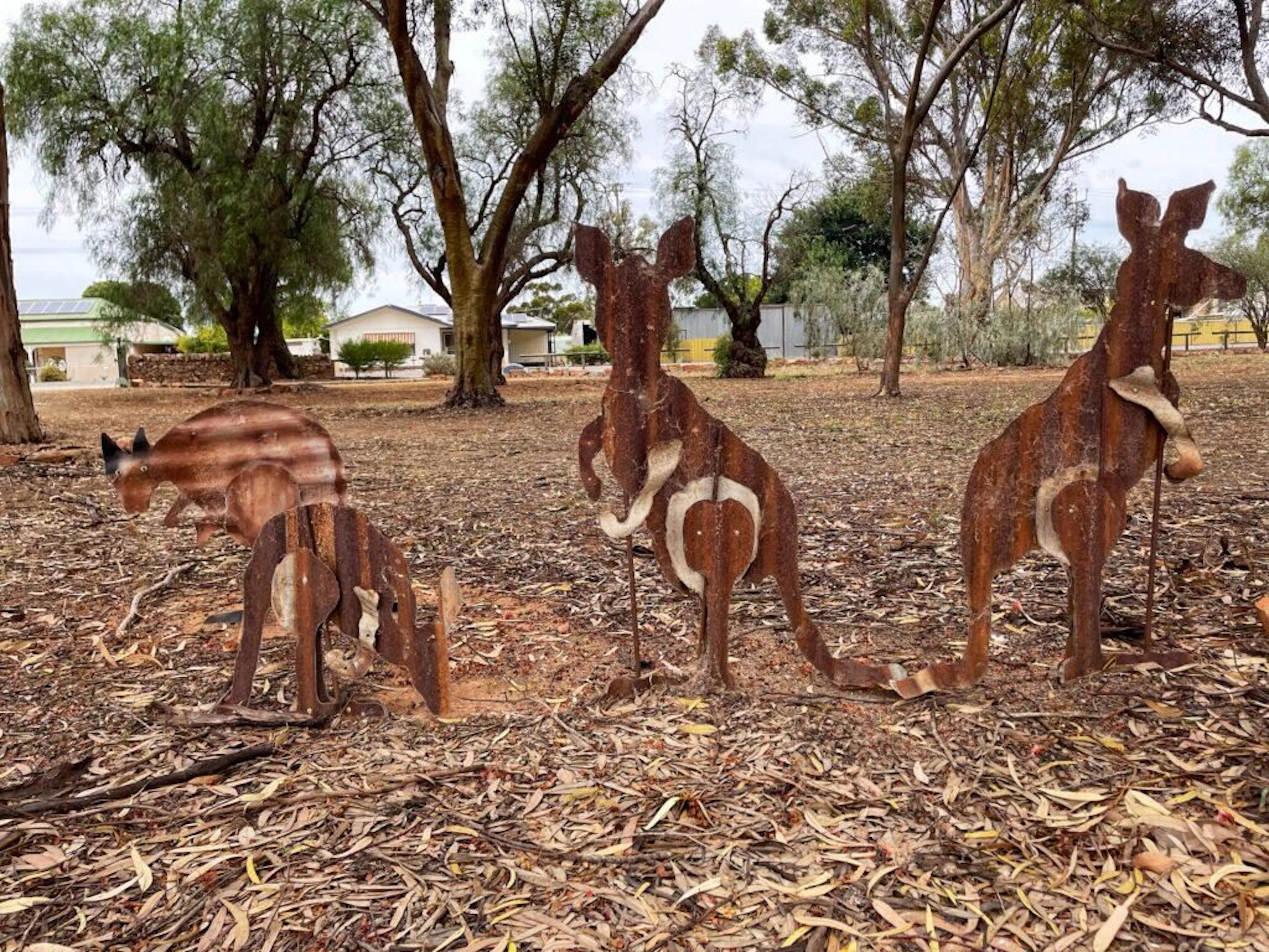 Laura Community Caravan Park in Laura, SA — photo 3