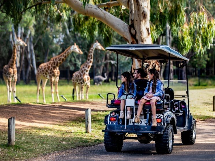 Dubbo Midstate Caravan Park in North Dubbo, NSW — photo 1