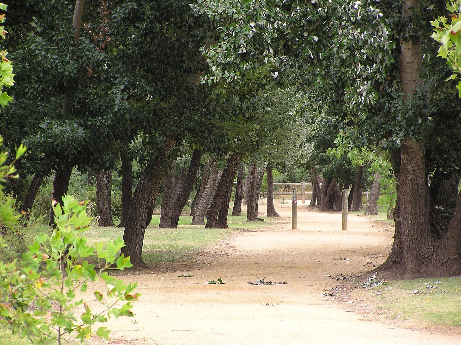 Bairnsdale Riverside Holiday Park — Bairnsdale, VIC