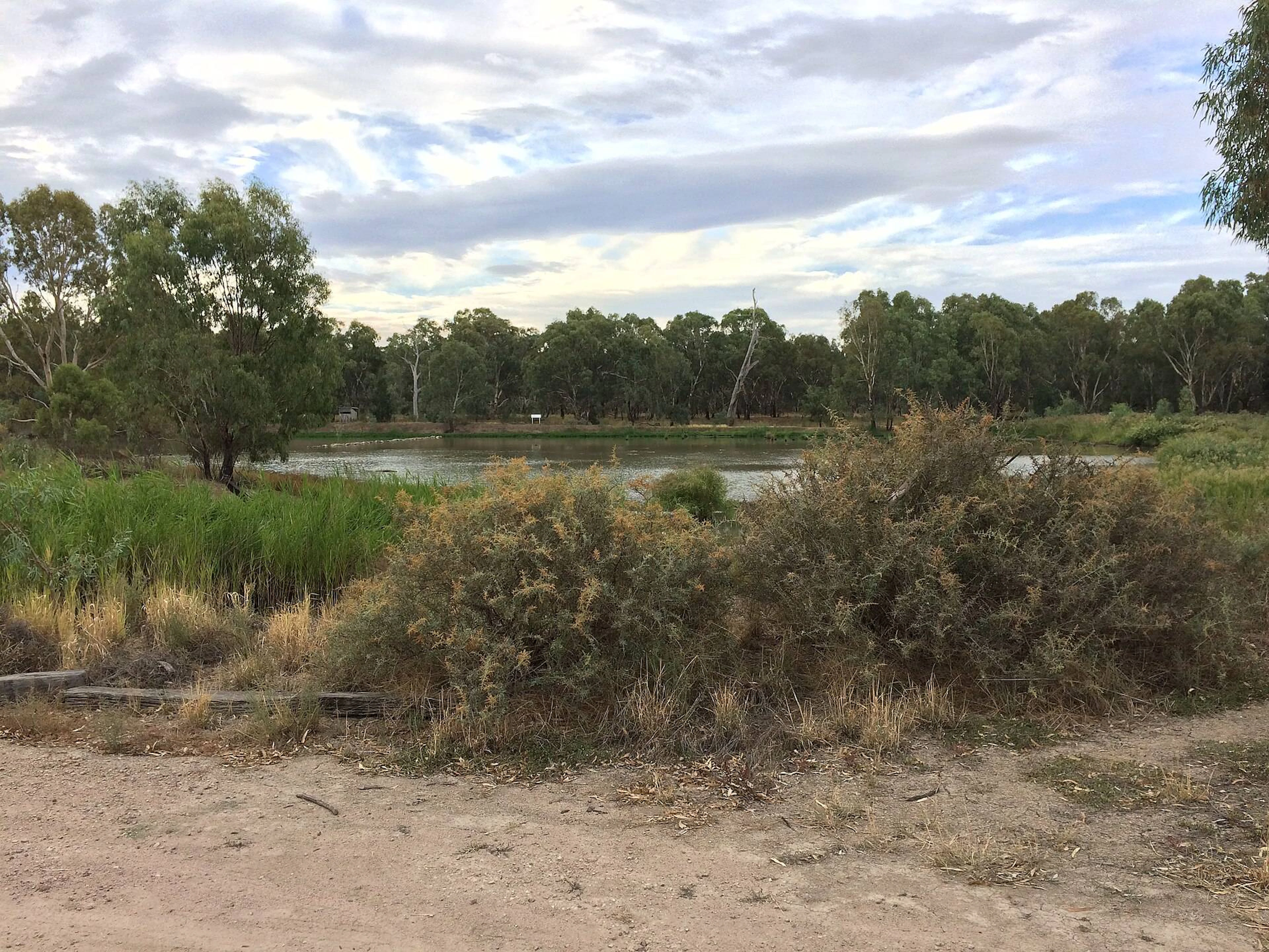 Narrandera Caravan Park in Gillenbah, NSW — photo 1
