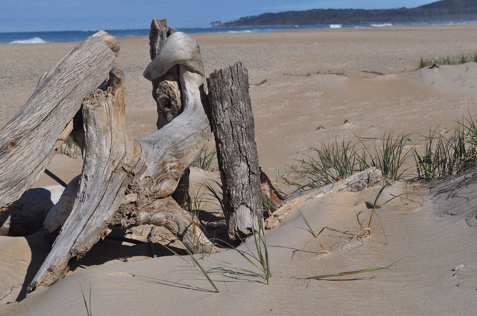 Wooli Caravan and Camping Park — Wooli, NSW