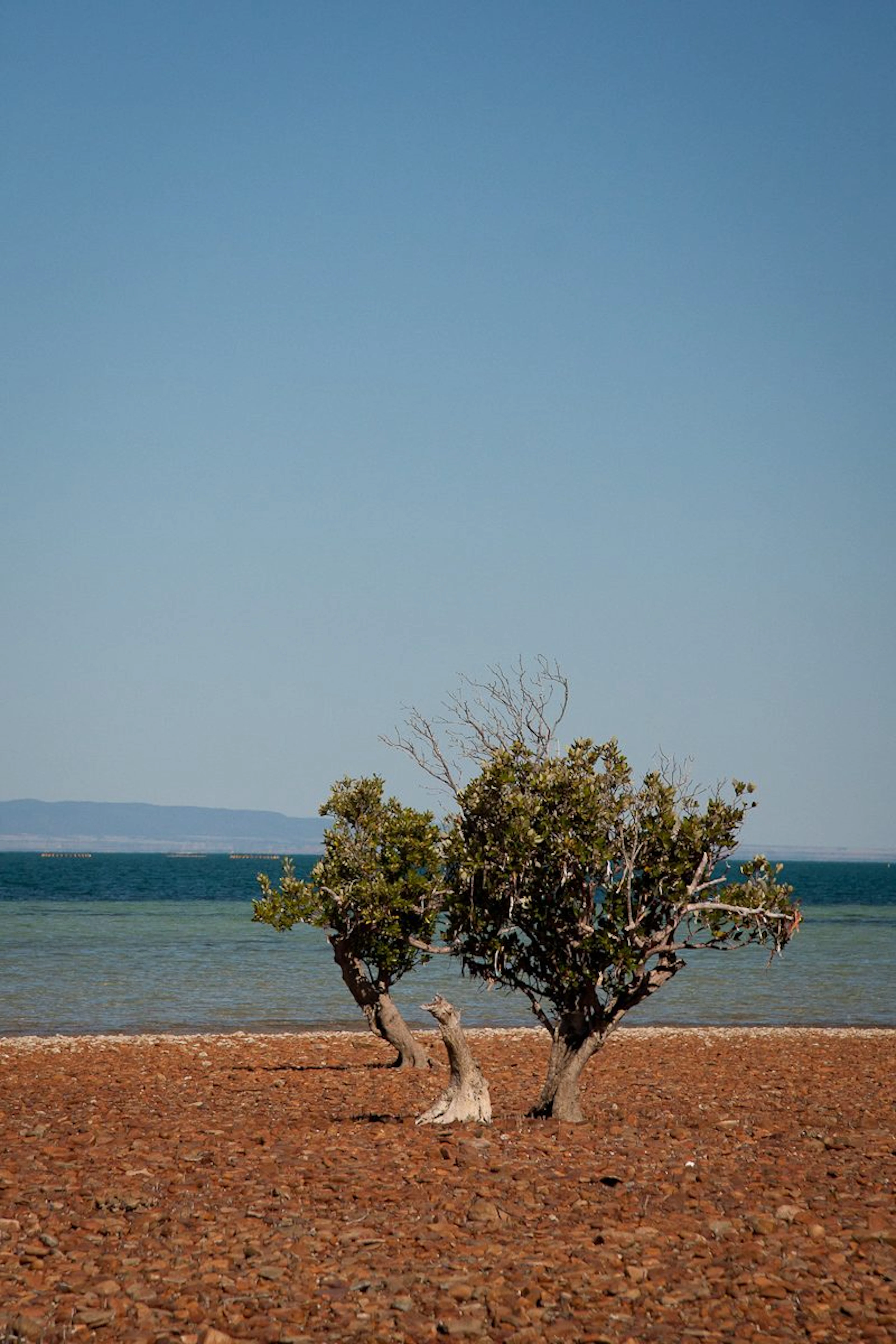Fitzgerald Bay Camping Areas in Whyalla, SA — photo 1