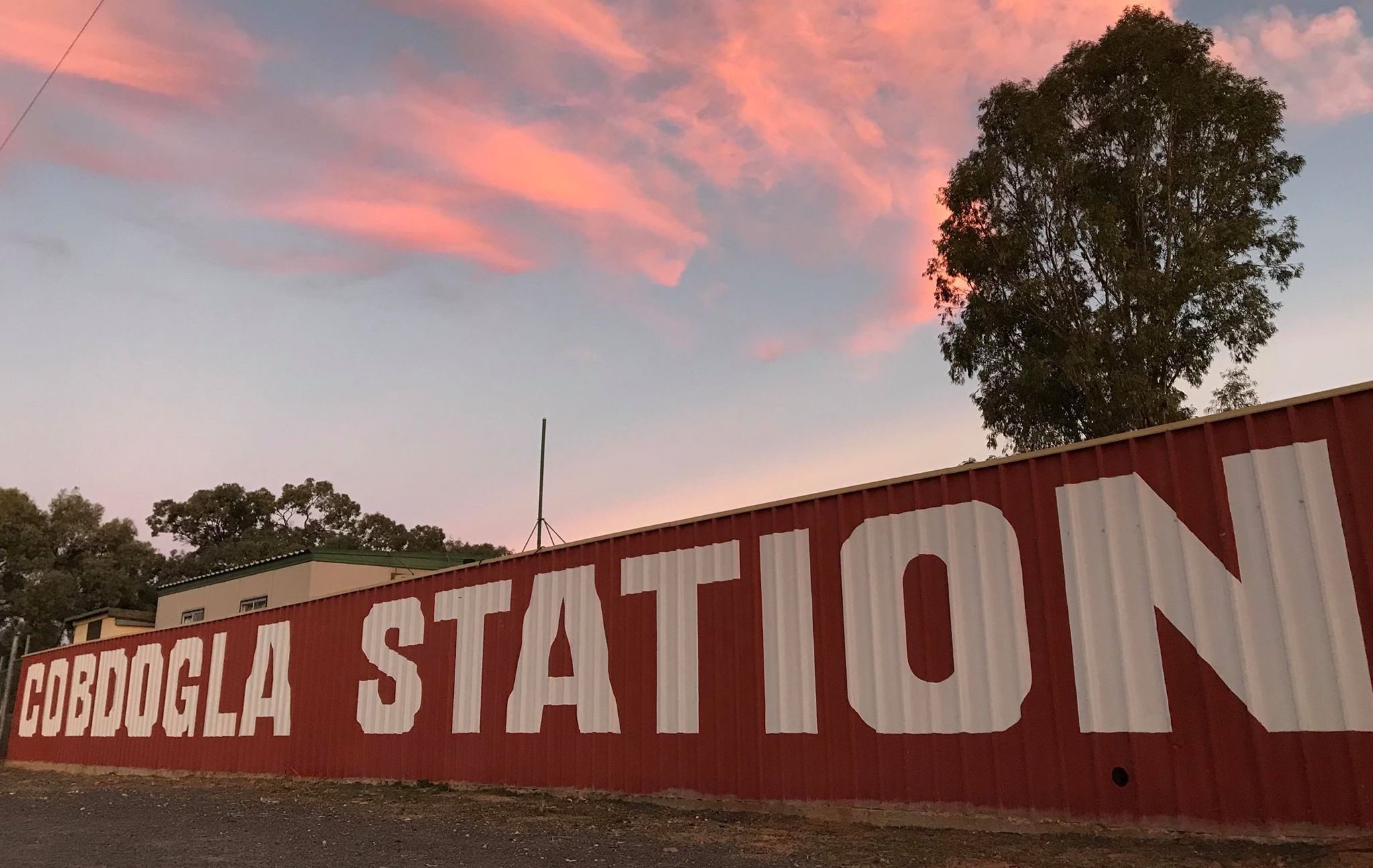 Cobdogla Station Caravan Park in Cobdogla, SA — photo 1
