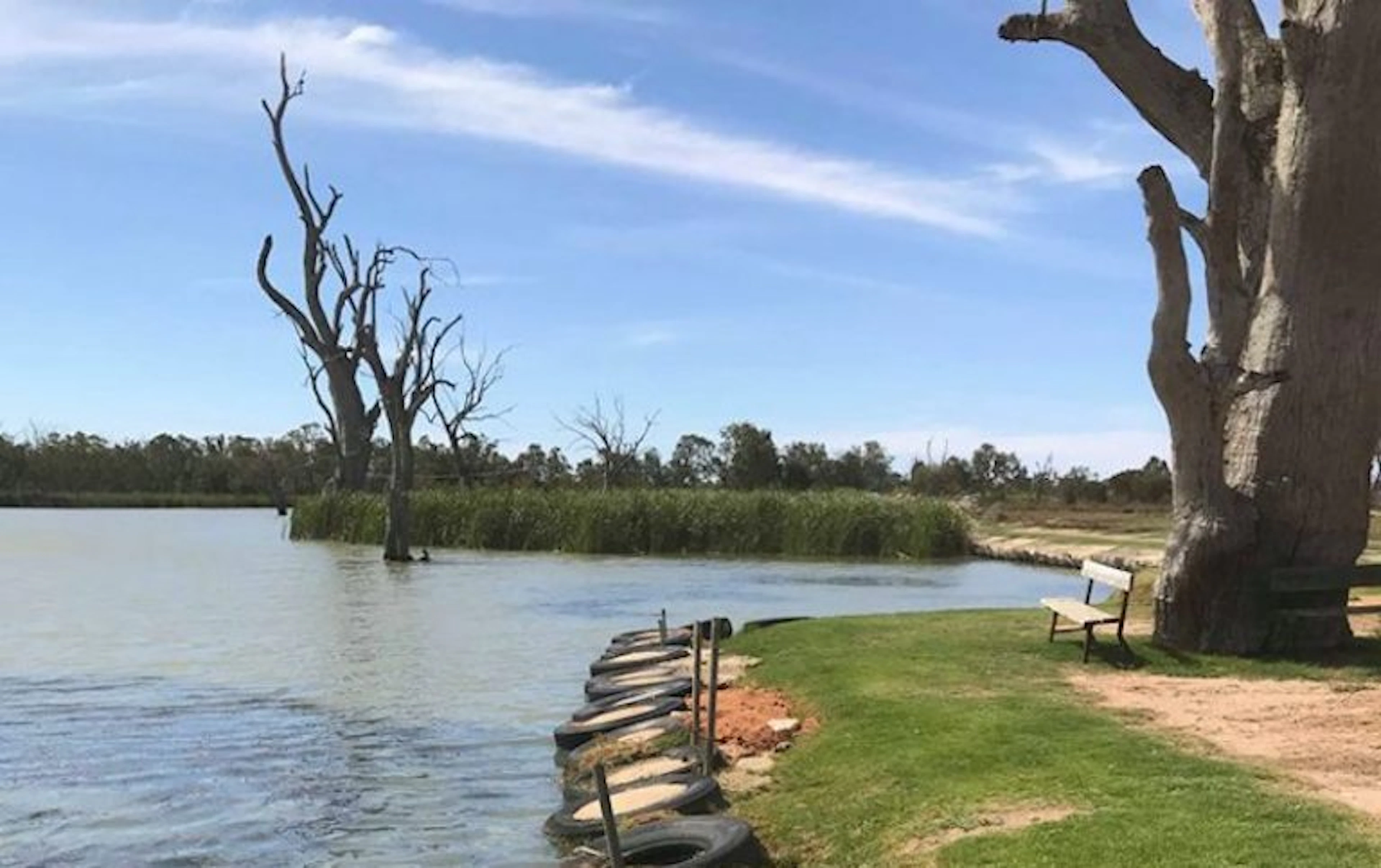 Cobdogla Station Caravan Park in Cobdogla, SA — photo 4