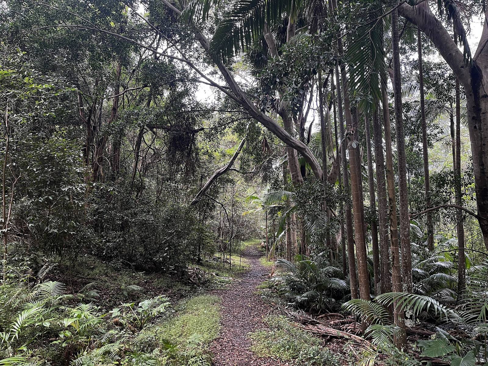 Ferry Reserve Holiday Park — Brunswick Heads, NSW