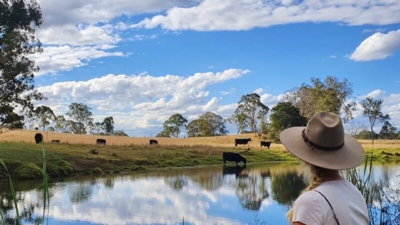 Yarraman Caravan Park and Cabins in Yarraman, QLD — photo 1