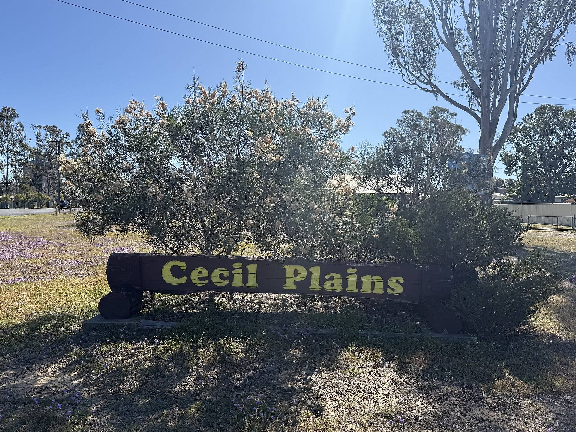 Cecil Plains Apex Park in Cecil Plains, QLD — photo 1