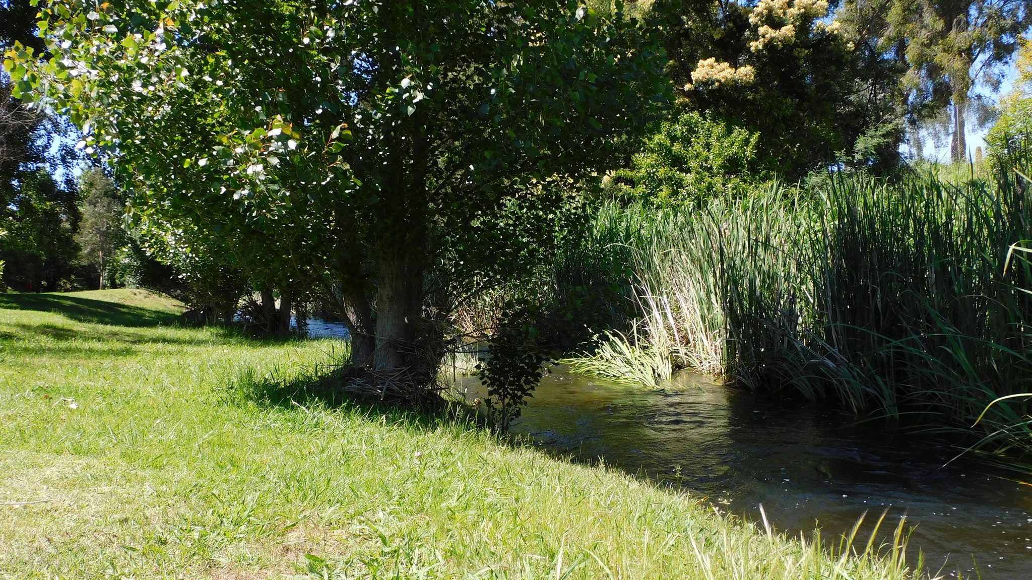 Swifts Creek Caravan Park in Swifts Creek, VIC — photo 2