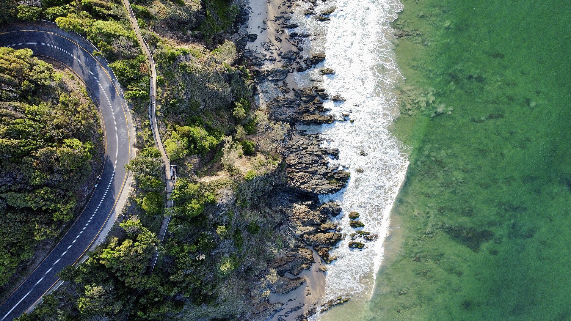 Clarkes Beach Holiday Park in Byron Bay, NSW — photo 3