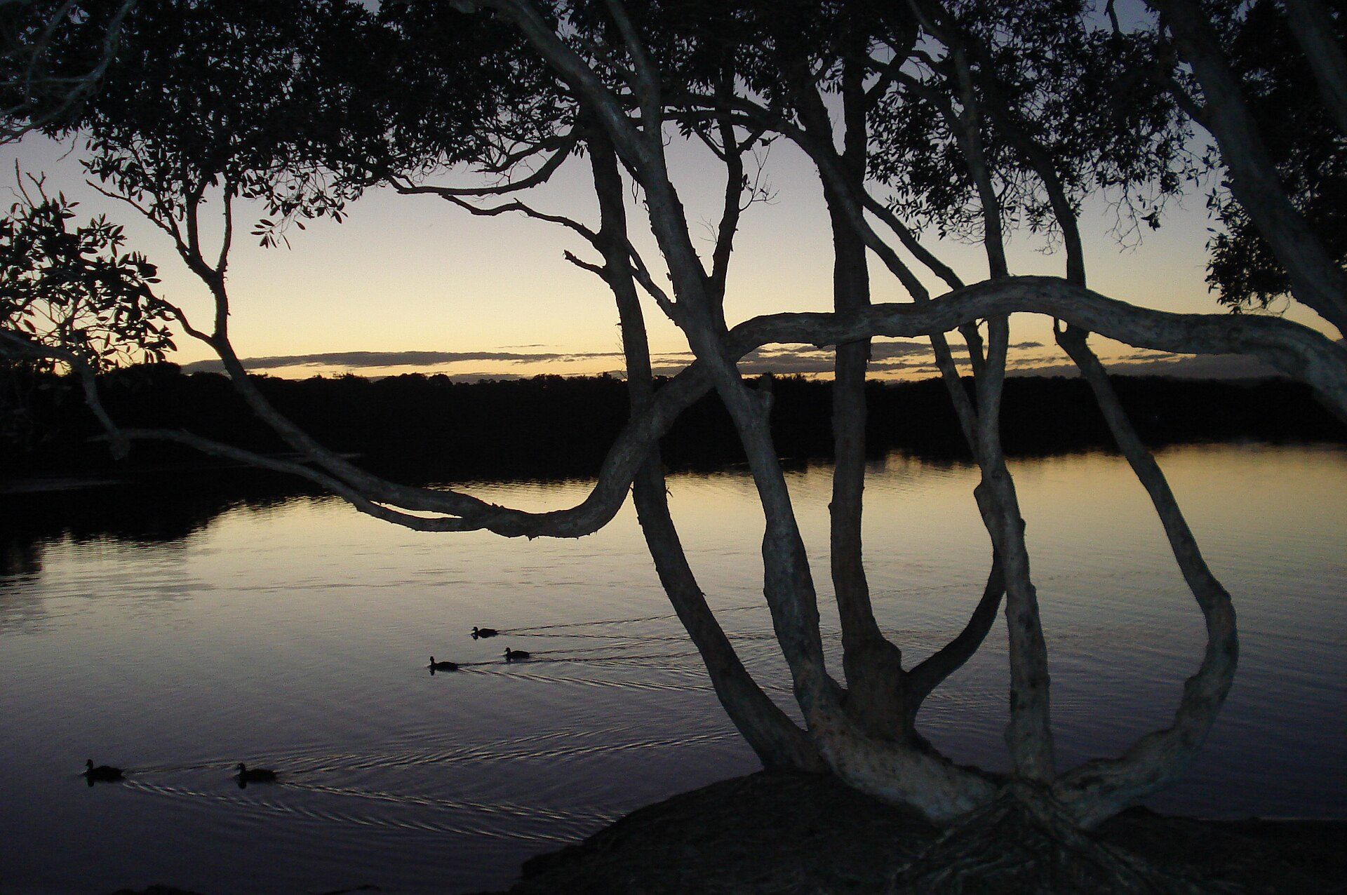 North Coast Holiday Parks Lake Ainsworth — Lennox Head, NSW